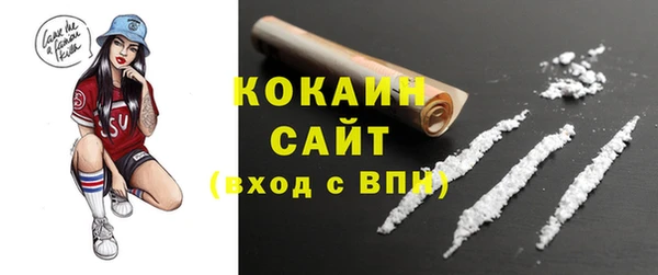 твердый Алексин