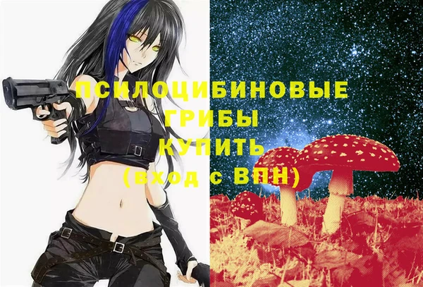 метадон Алексеевка