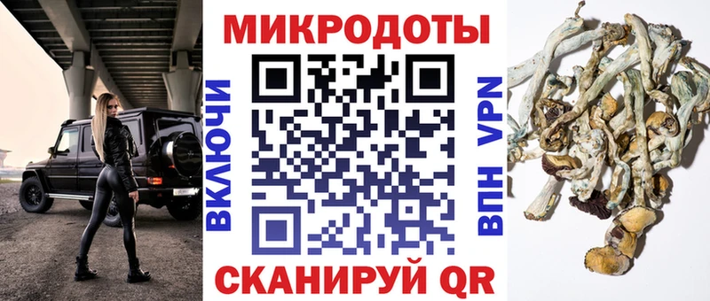 Галлюциногенные грибы Cubensis  Воткинск 